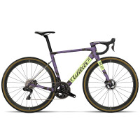 Wilier Rave SLR Gravel- Bike- Setup - Campagnolo Ekar 1x13